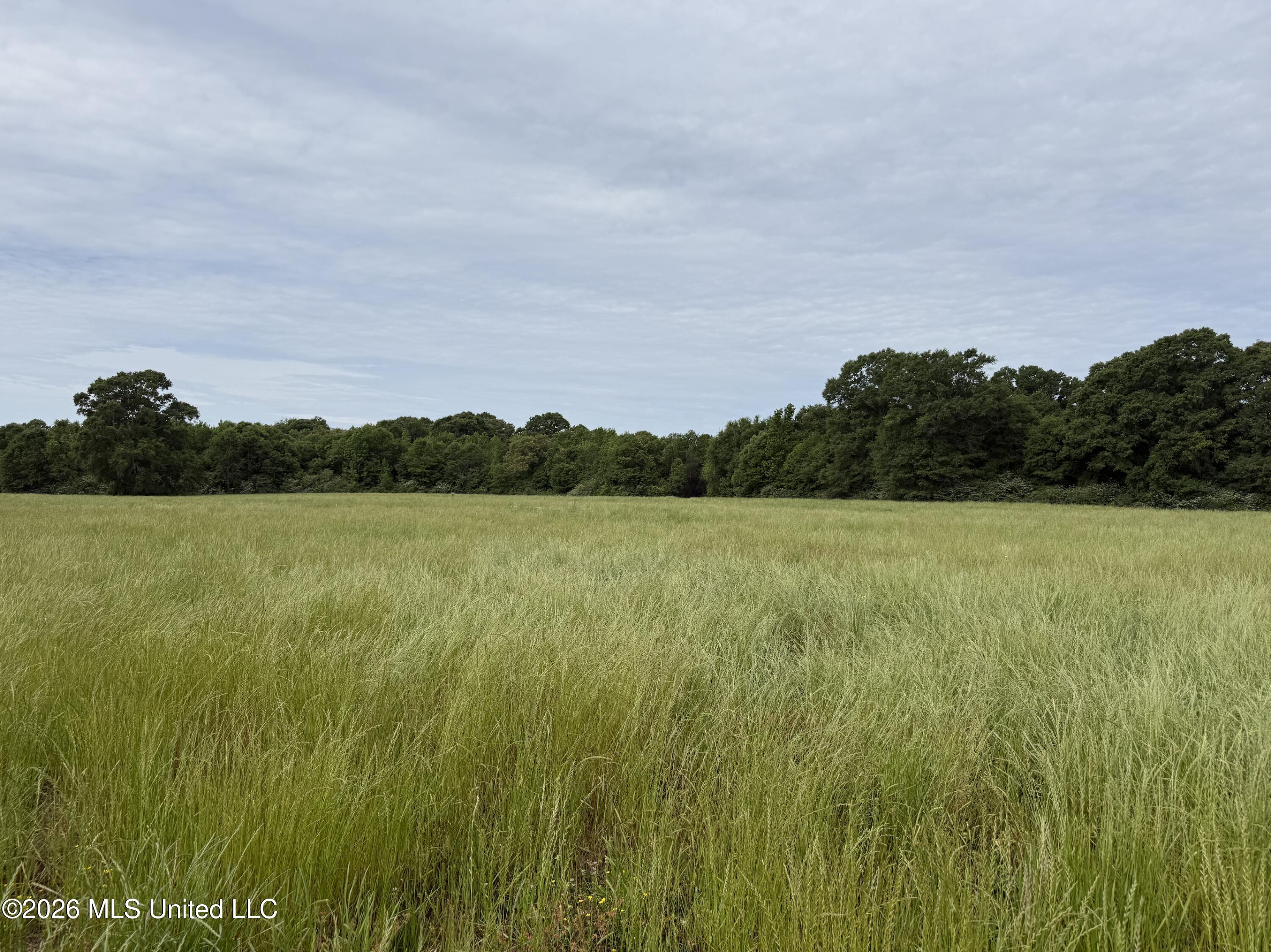 Screenshot 2026-04-22 at 1.33.45PM