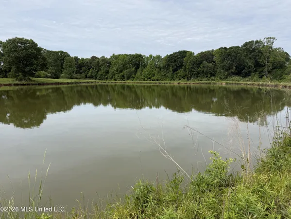 $495,000 | 813 Holmesville Road, Jayess, MS 39641