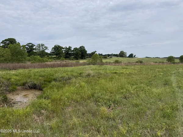 $495,000 | 813 Holmesville Road, Jayess, MS 39641