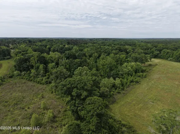 $495,000 | 813 Holmesville Road, Jayess, MS 39641