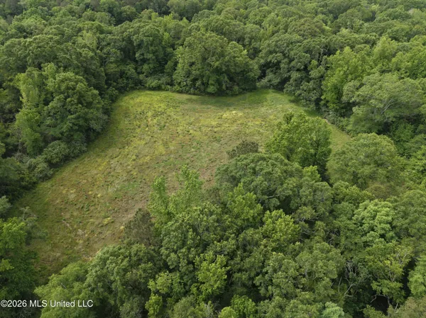 $495,000 | 813 Holmesville Road, Jayess, MS 39641