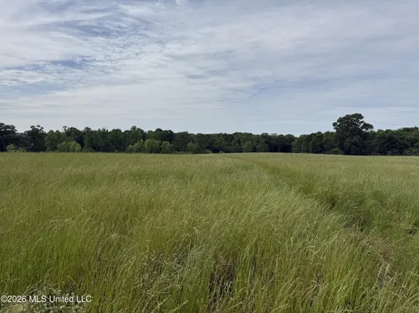 $495,000 | 813 Holmesville Road, Jayess, MS 39641