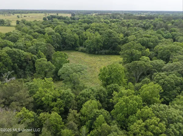 $495,000 | 813 Holmesville Road, Jayess, MS 39641