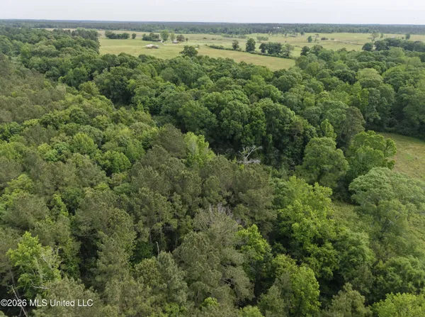 $495,000 | 813 Holmesville Road, Jayess, MS 39641