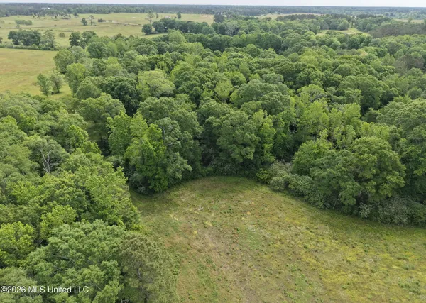 $495,000 | 813 Holmesville Road, Jayess, MS 39641