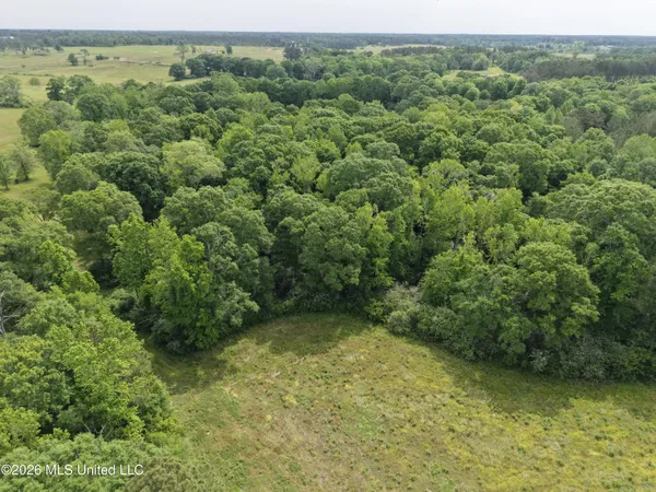 $495,000 | 813 Holmesville Road, Jayess, MS 39641