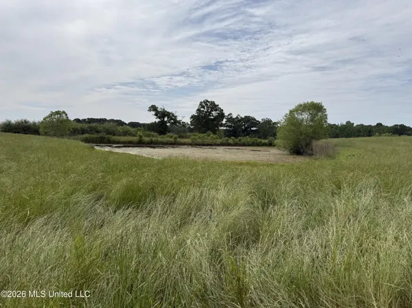 $495,000 | 813 Holmesville Road, Jayess, MS 39641