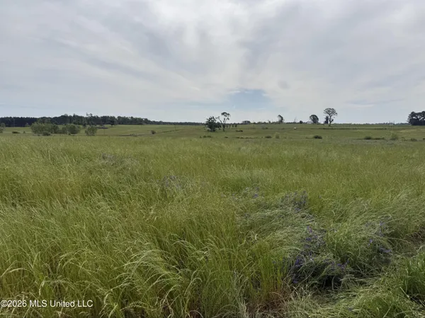 $495,000 | 813 Holmesville Road, Jayess, MS 39641