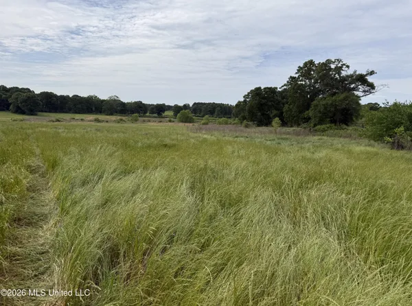 $495,000 | 813 Holmesville Road, Jayess, MS 39641