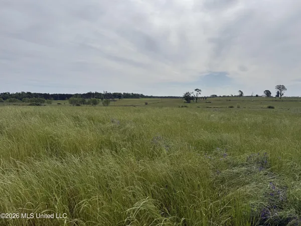 $495,000 | 813 Holmesville Road, Jayess, MS 39641