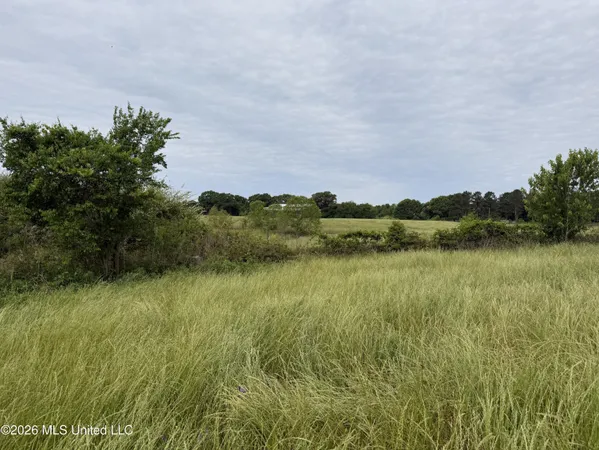 $495,000 | 813 Holmesville Road, Jayess, MS 39641