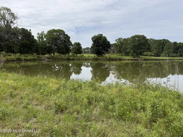 $495,000 | 813 Holmesville Road, Jayess, MS 39641