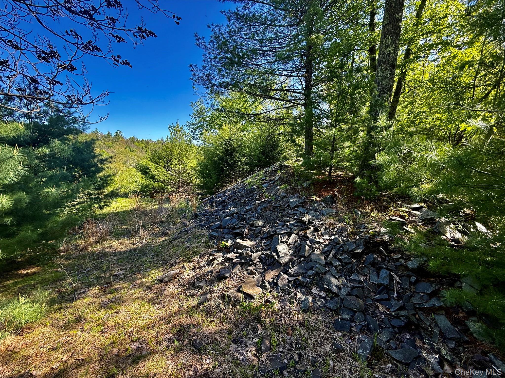 101 Stone Road Hurley, NY 12491 - Photo 5 of 24 a view of a yard