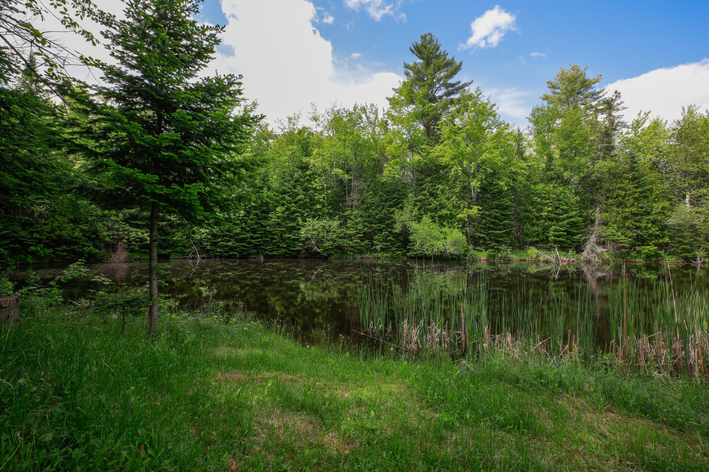 330 Cottrell Road Dixmont, ME 04932 - Photo 76 of 89 330CottrellRd_Dixmont_May_2024-116
