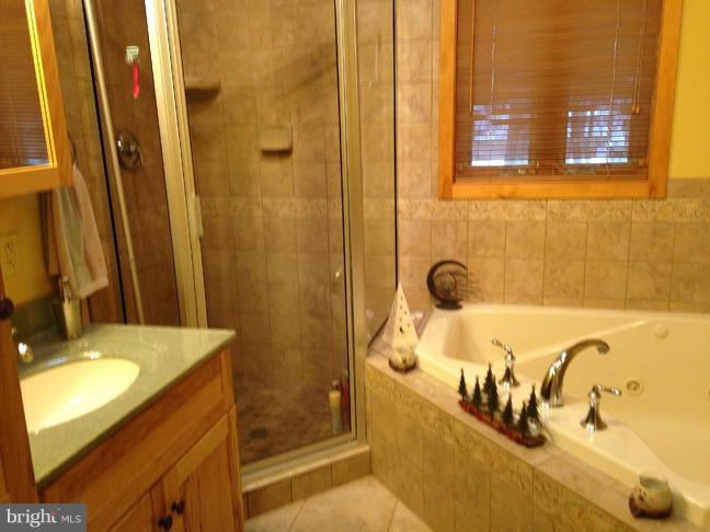 740 Liberty Grove Road Conowingo, MD 21918 - Photo 7 of 17 Bath (Master)