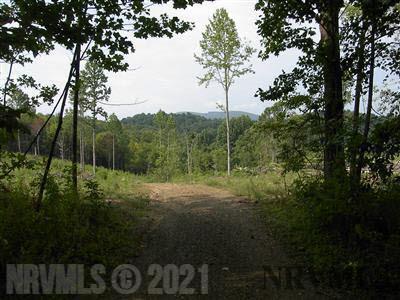 Tbd Runnett Bag Road Floyd, VA 24091 - Photo 8 of 15 Gallery Image 8