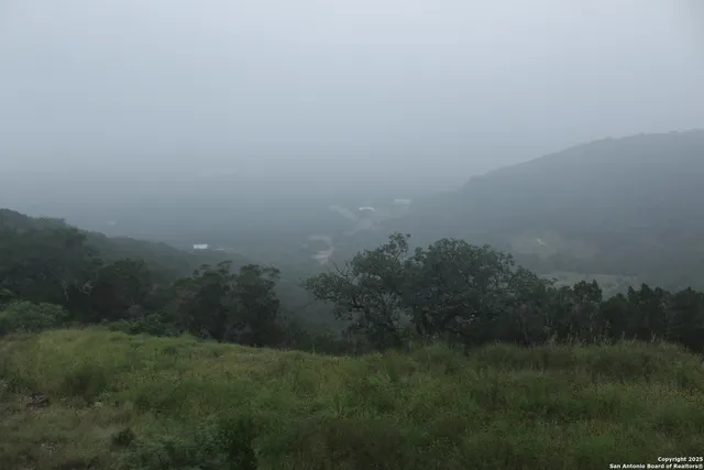 a view of a field with trees in background