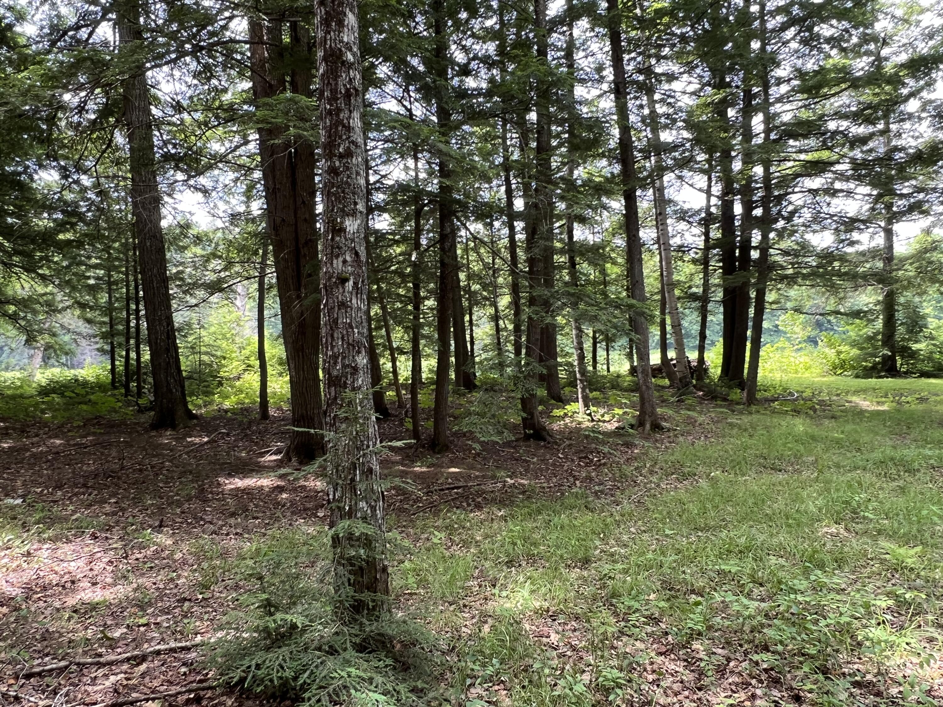 1076 Grindstone Road Medway, ME 04460 - Photo 5 of 30 3C60E4D8-DC65-4020-ABC8-9C2EE7A2D30F