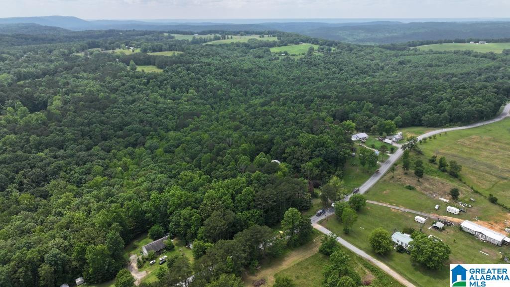 570 Culwell Road Hayden, AL 35079 - Photo 5 of 21