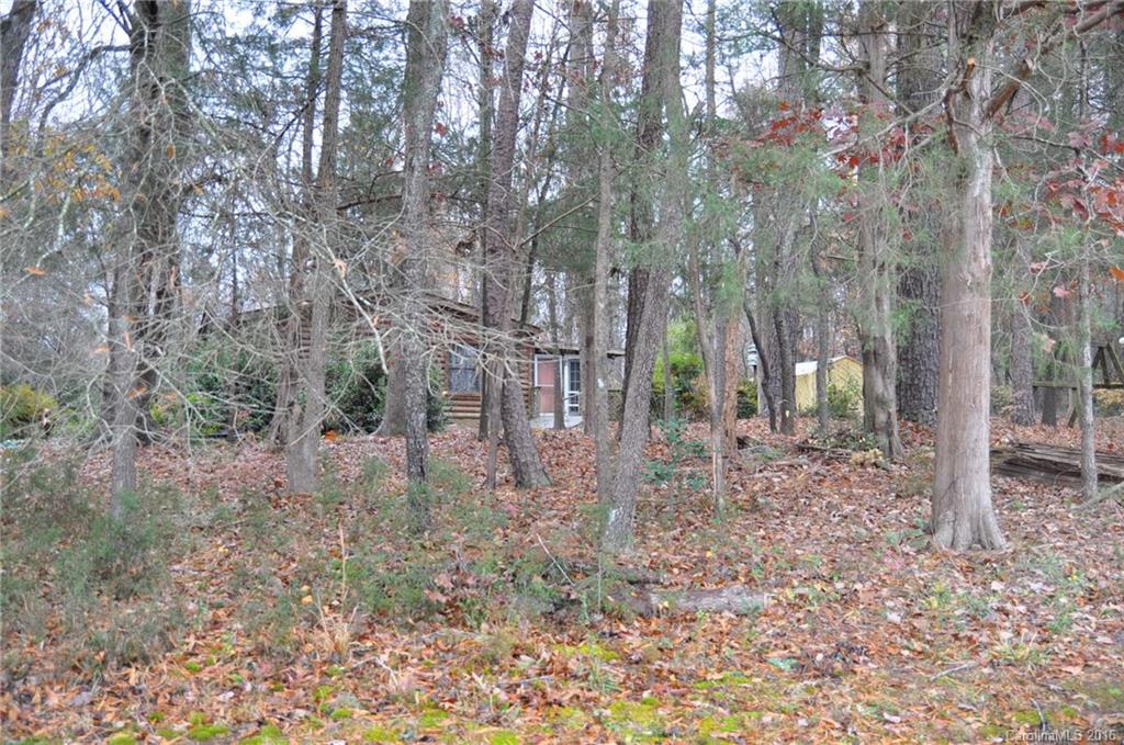 2919 Belk Mill Road Wingate, NC 28174 - Photo 2 of 24 a view of a forest filled with trees