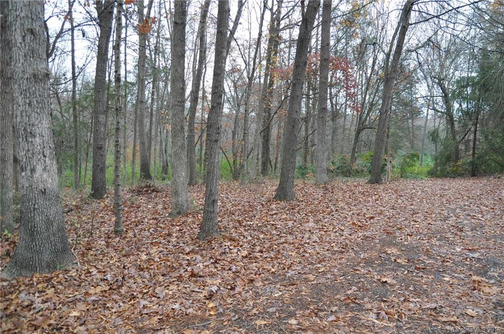 2919 Belk Mill Road Wingate, NC 28174 - Photo 3 of 24 a big yard with lots of green space
