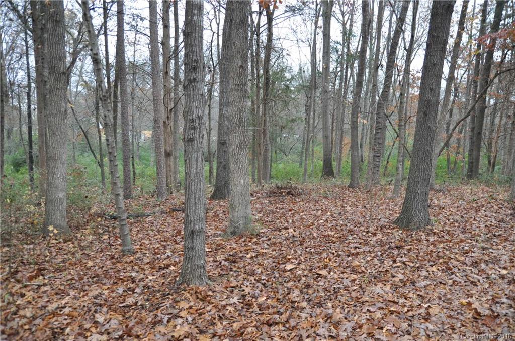 2919 Belk Mill Road Wingate, NC 28174 - Photo 4 of 24 a big yard with lots of green space