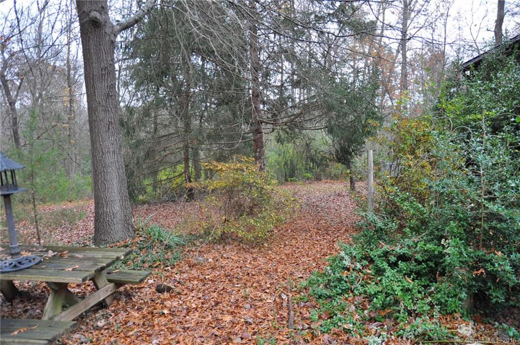 2919 Belk Mill Road Wingate, NC 28174 - Photo 5 of 24 a view of a forest filled with trees