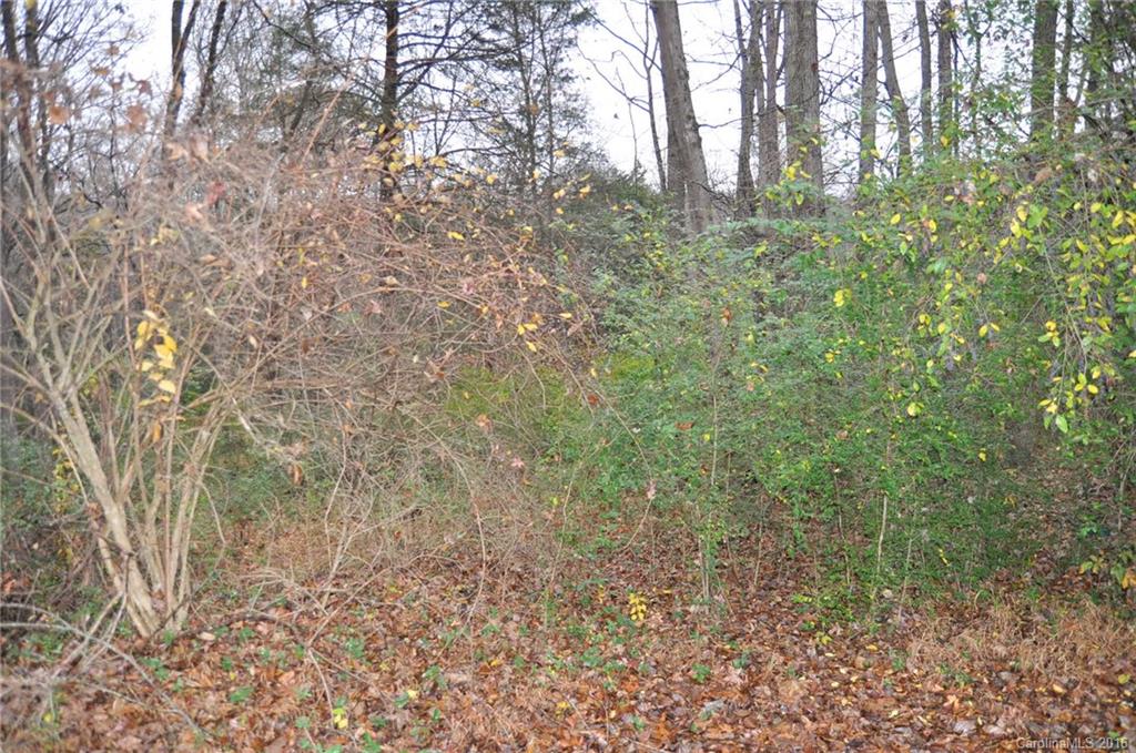 2919 Belk Mill Road Wingate, NC 28174 - Photo 8 of 24 a view of a yard with plants and trees