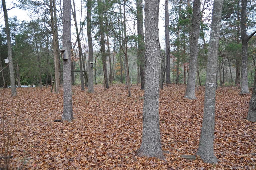 2919 Belk Mill Road Wingate, NC 28174 - Photo 10 of 24 a view of a forest filled with trees