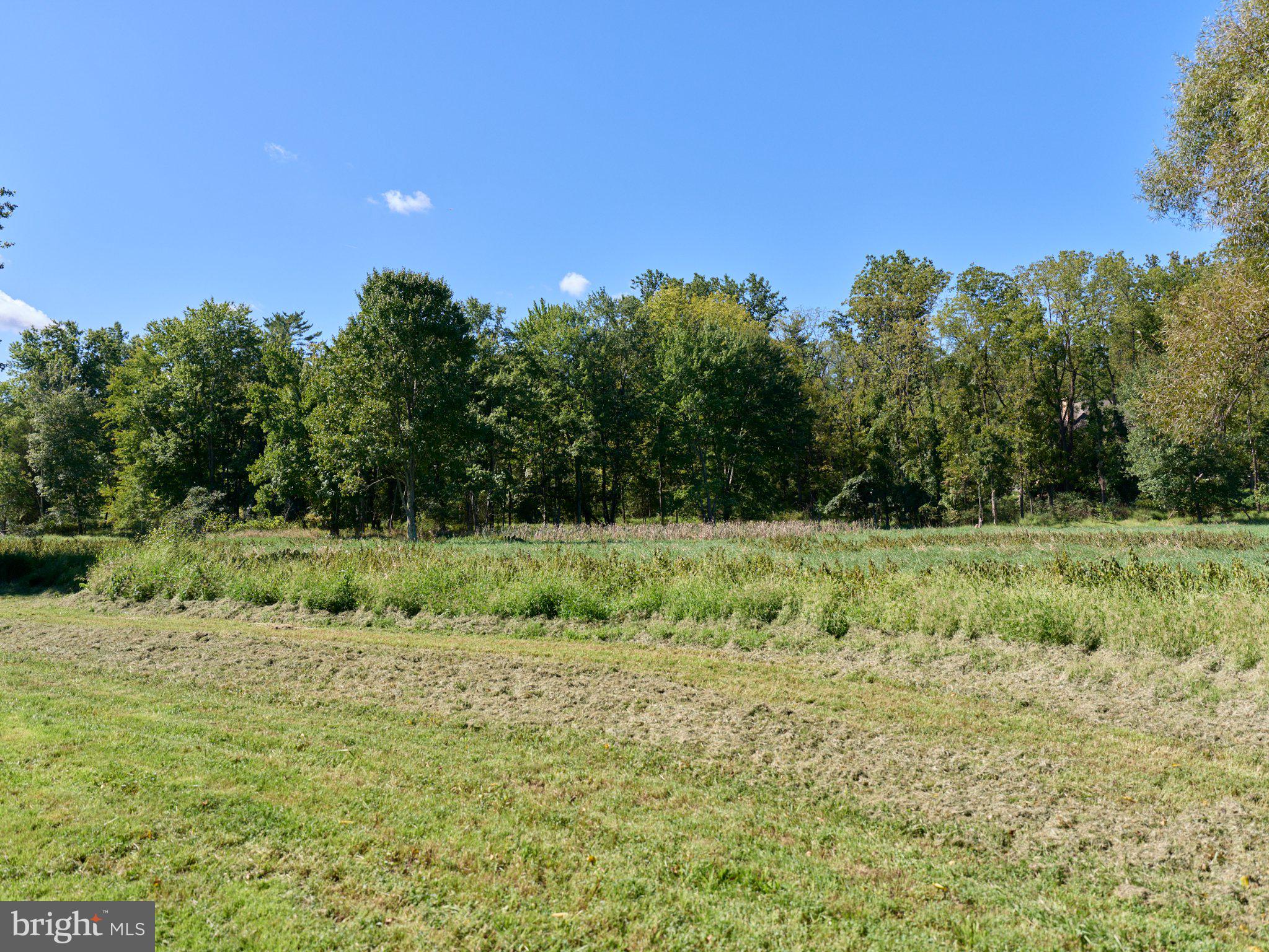 5312 York Road Doylestown, PA 18902 - Photo 11 of 13 Gallery Image 11