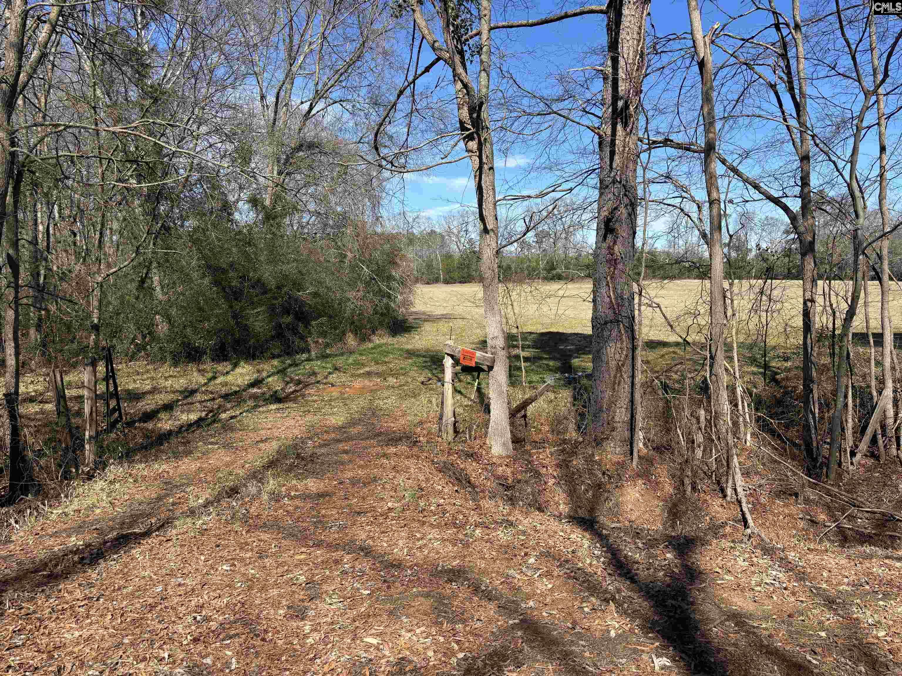 0 Bethany Road Saluda, SC 29138 - Photo 7 of 24