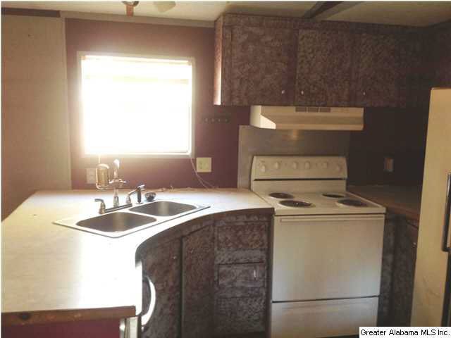 289 County Road 428 Fruithurst, AL 36262 - Photo 4 of 14