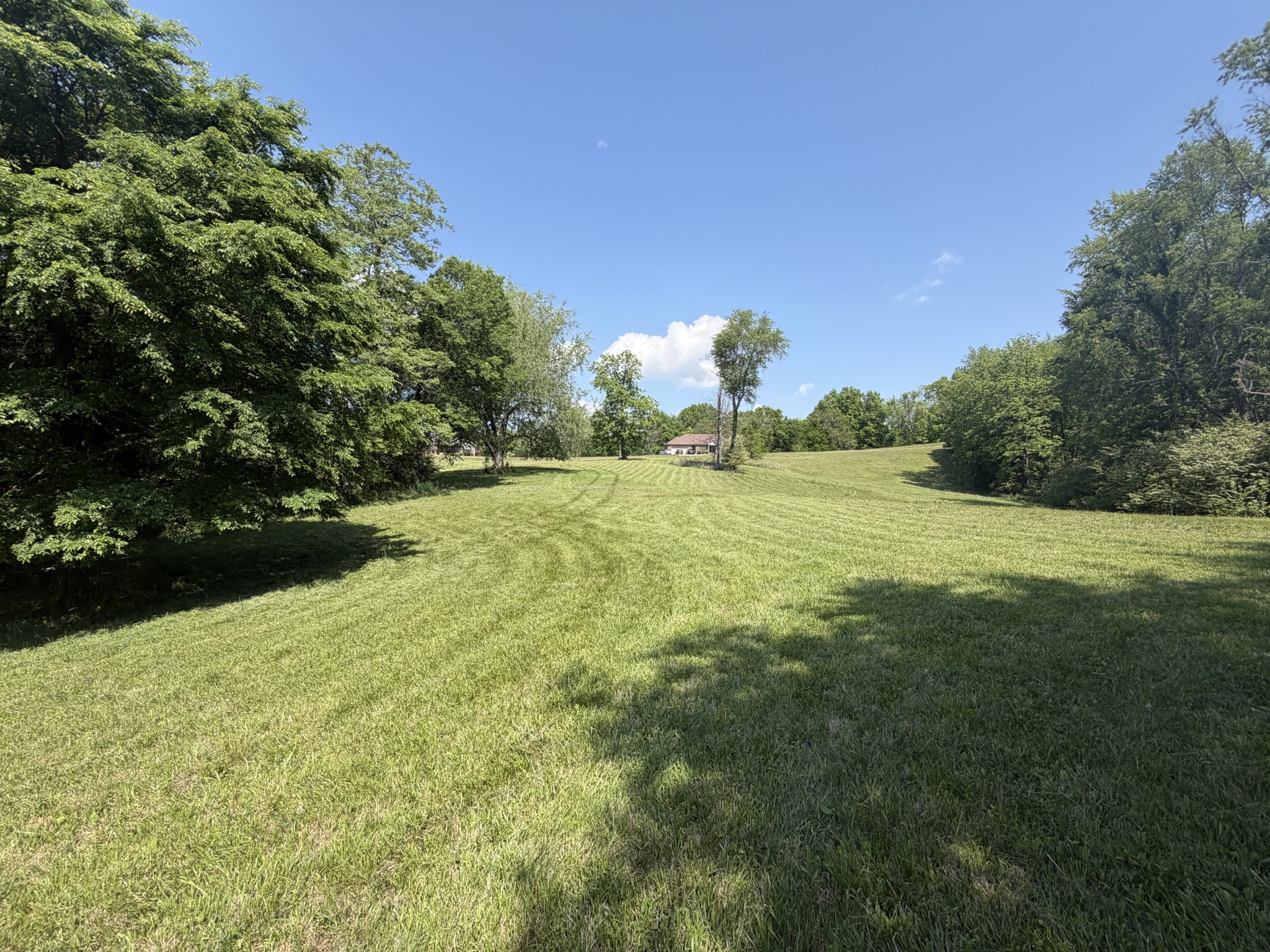 155 Rambling Ridge Road Pulaski, TN 38478 - Photo 4 of 7 a view of grassy field with trees in the background