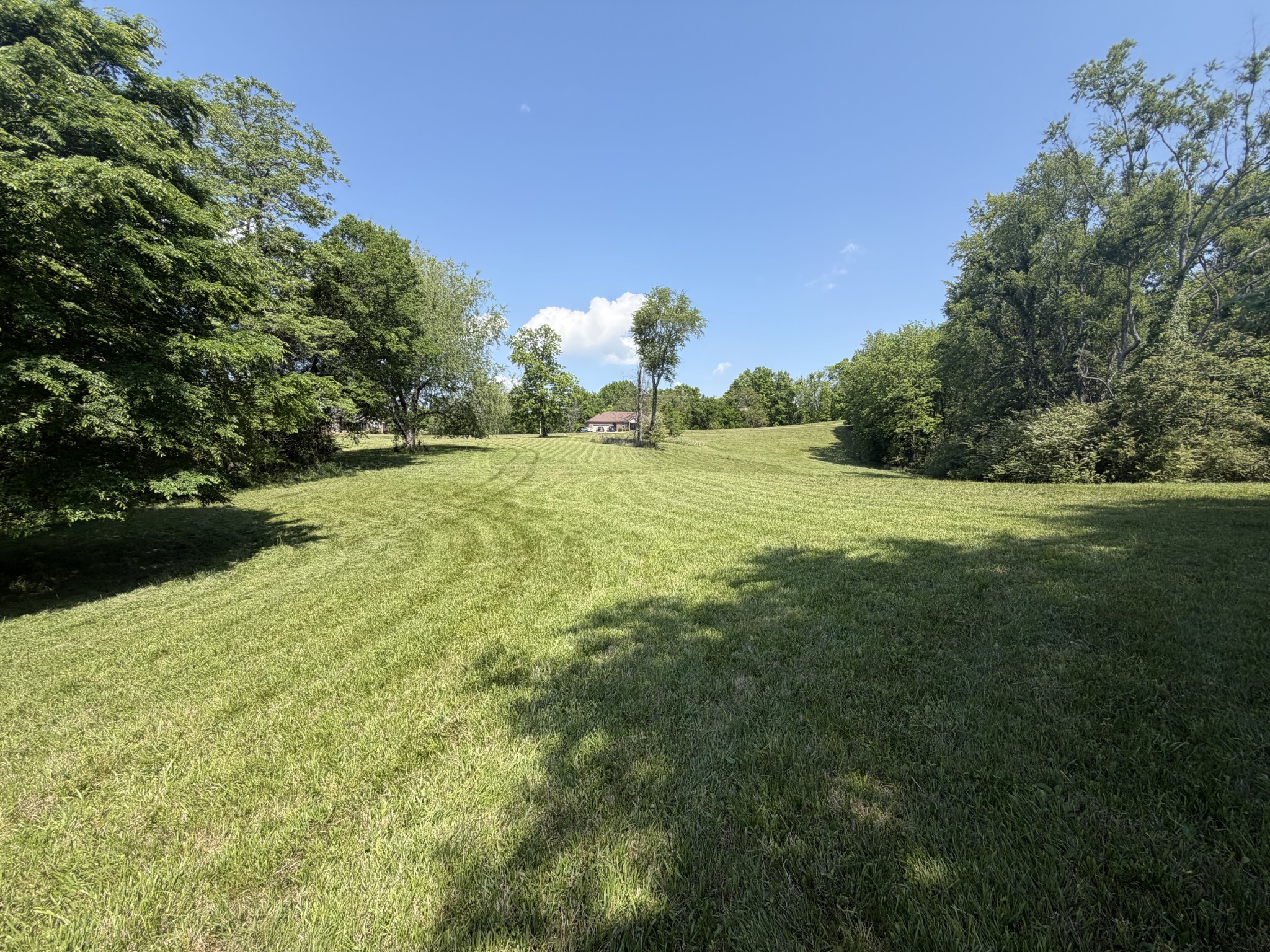 155 Rambling Ridge Road Pulaski, TN 38478 - Photo 5 of 7 a view of a big yard with an trees