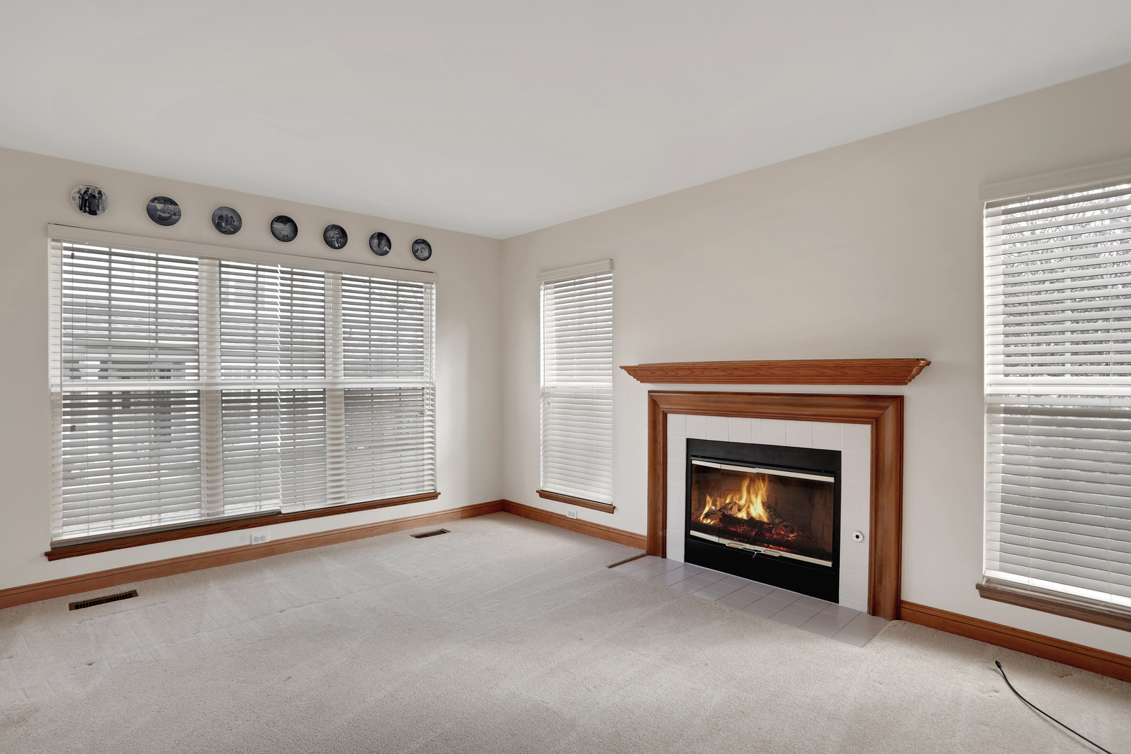 1240 Coldspring Road Elgin, IL 60120 - Photo 7 of 17 a view of an empty room with a fireplace