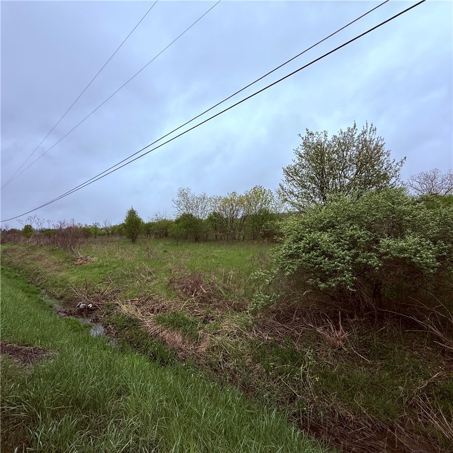 0 Reeds Corners Road Dansville, NY 14437 - Photo 3 of 13