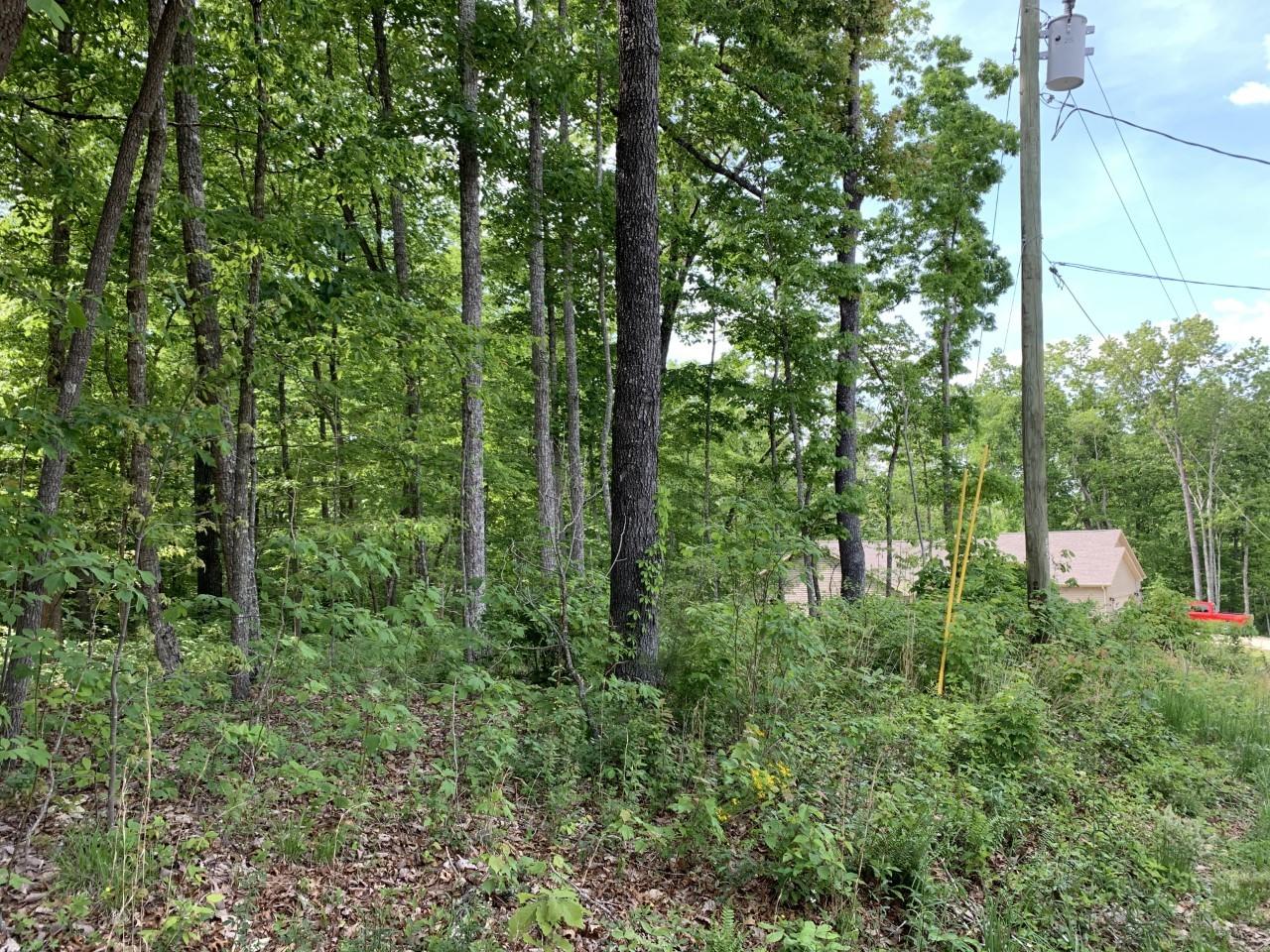 110 Folkstone Road Crossville, TN 38558 - Photo 2 of 3 110 Folkstone 2