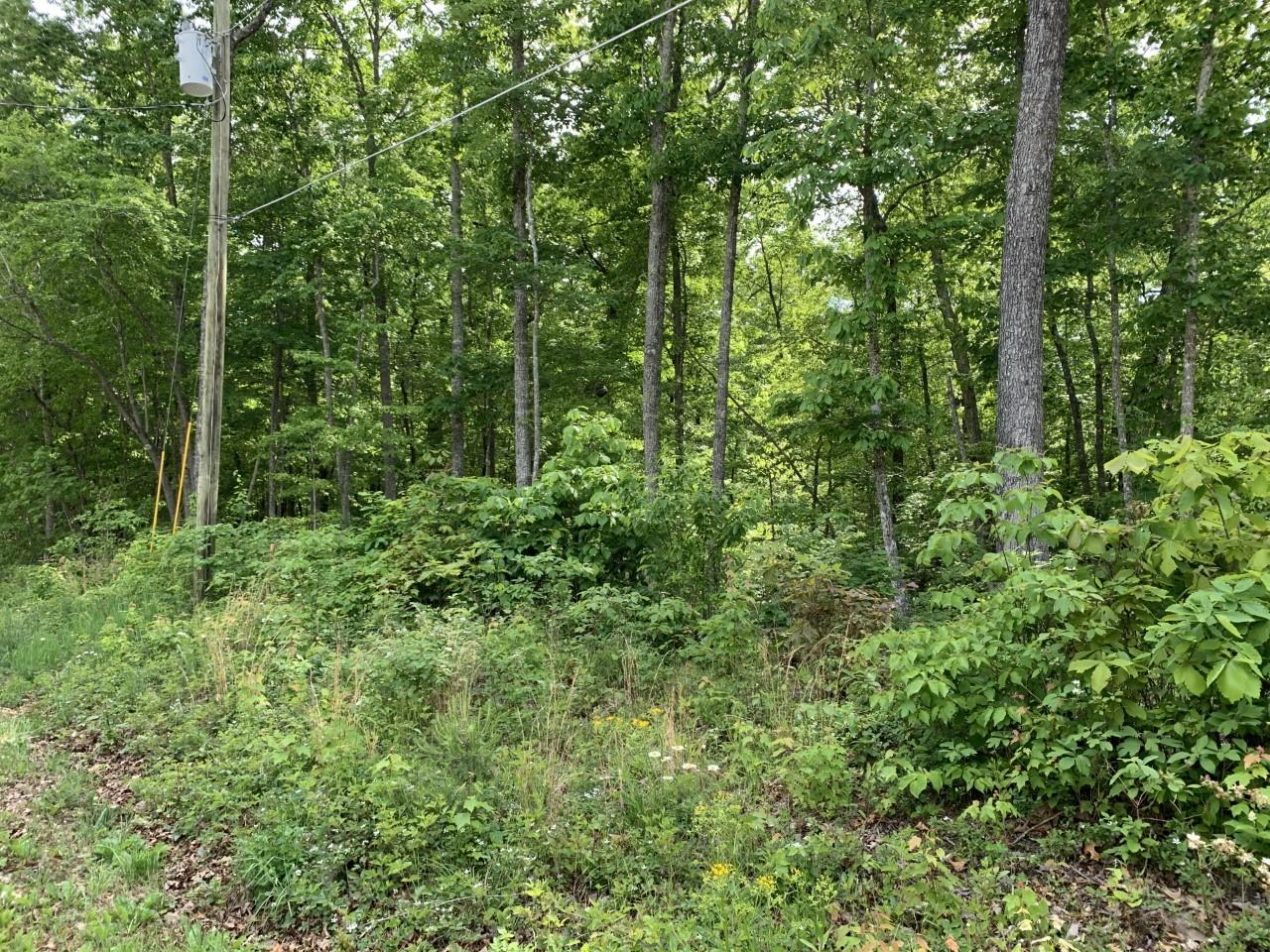 110 Folkstone Road Crossville, TN 38558 - Photo 3 of 3 110 Folkstone 3
