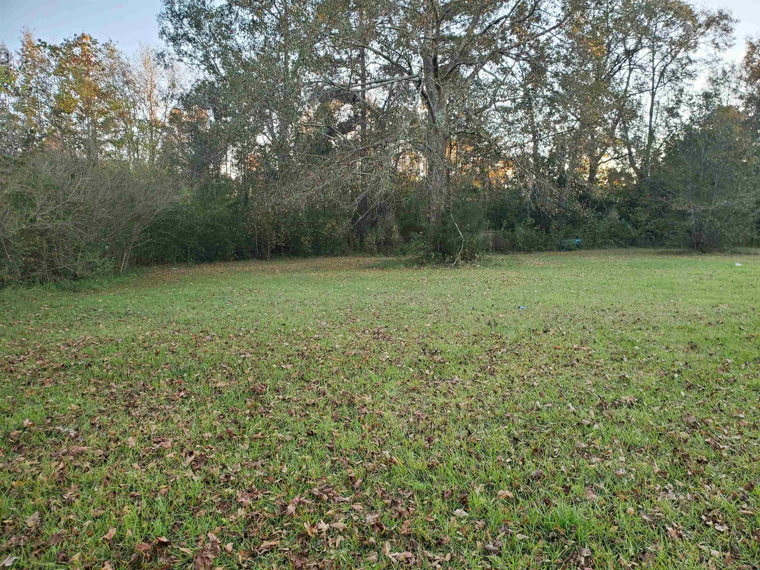 Lot 27 Swift Street Atmore, AL 36502 - Photo 1 of 3