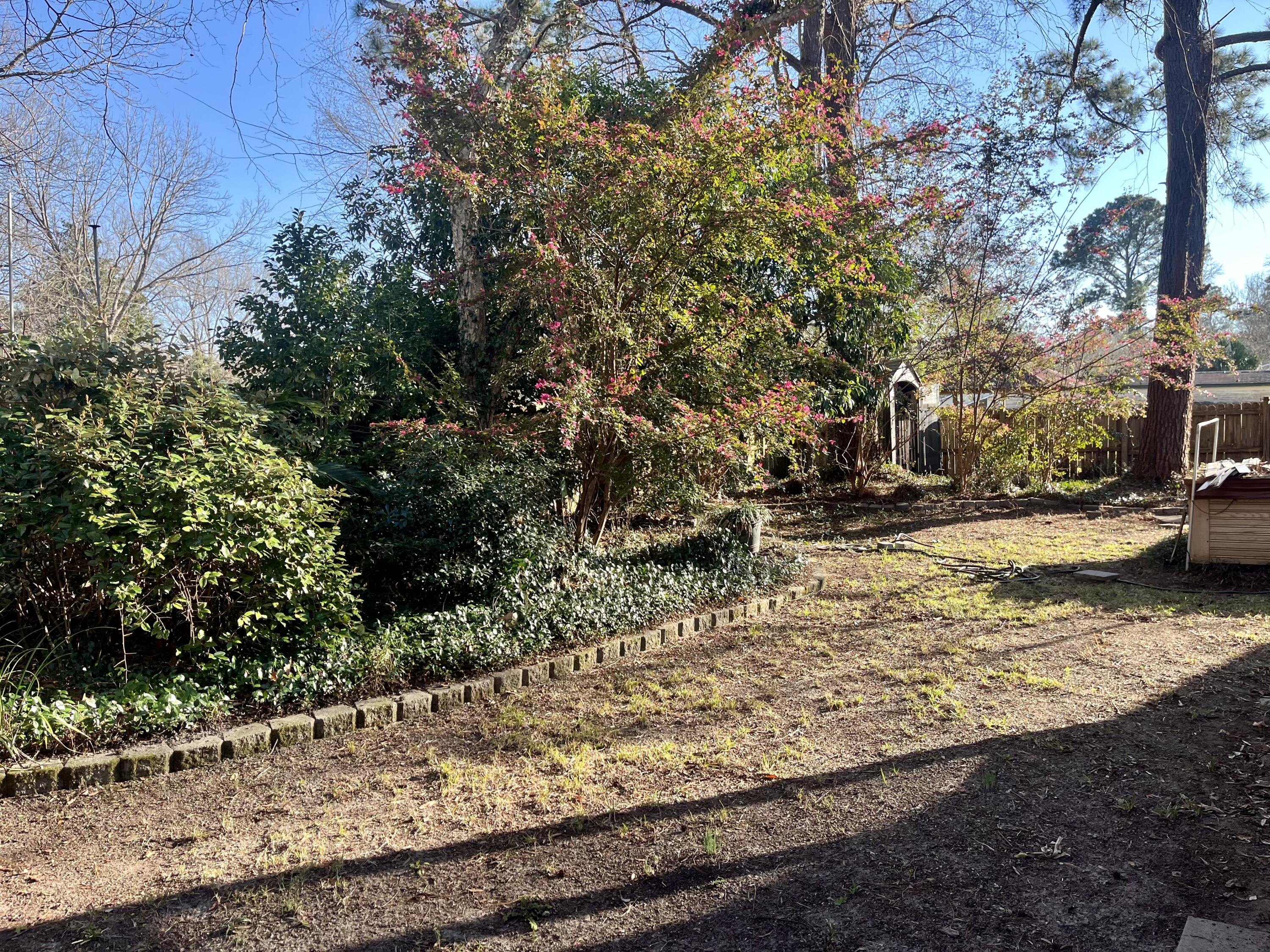 2309 Fidling Road Charleston, SC 29414 - Photo 16 of 20 Backyard