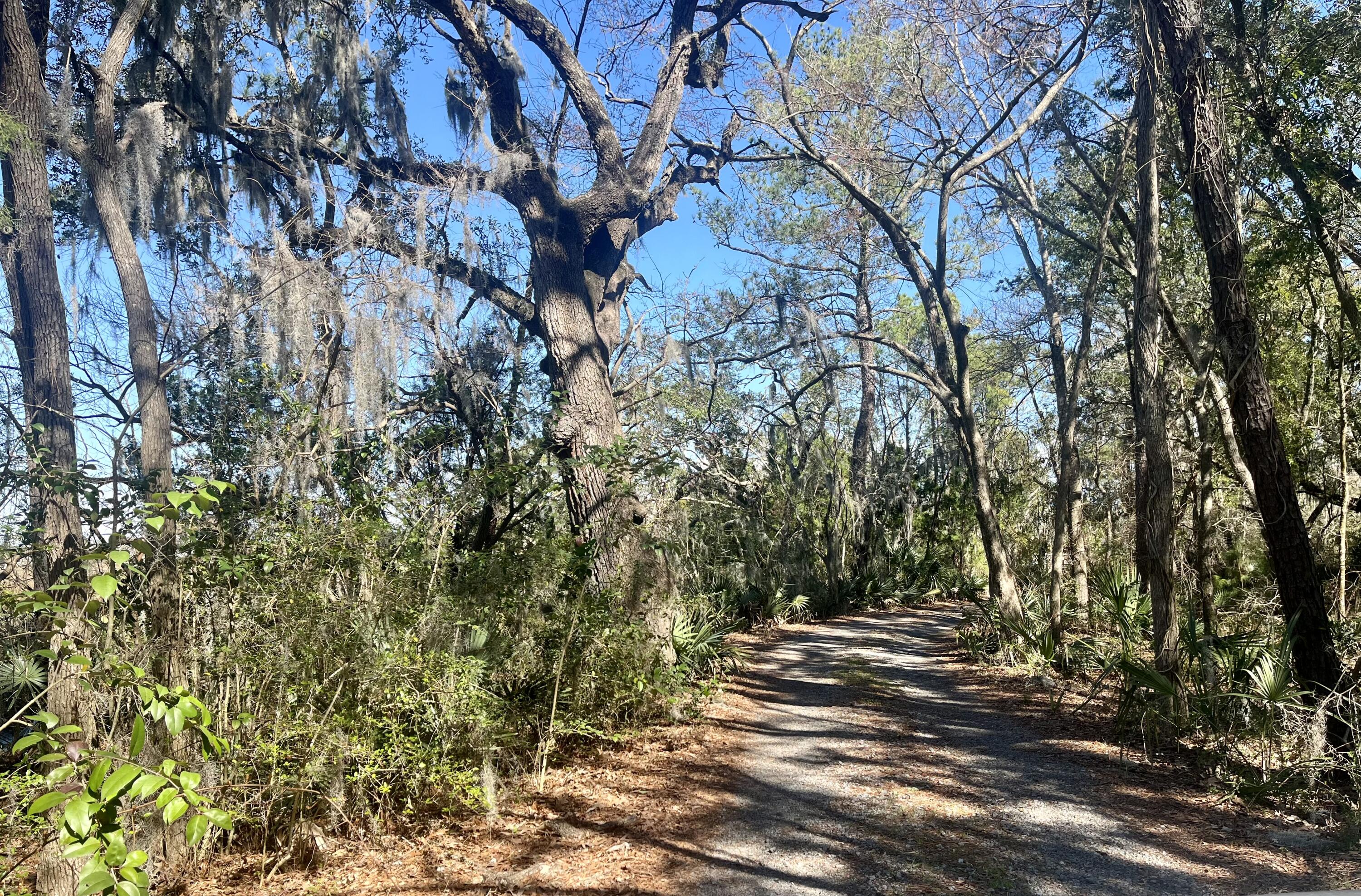2309 Fidling Road Charleston, SC 29414 - Photo 17 of 20 Road to Ramp