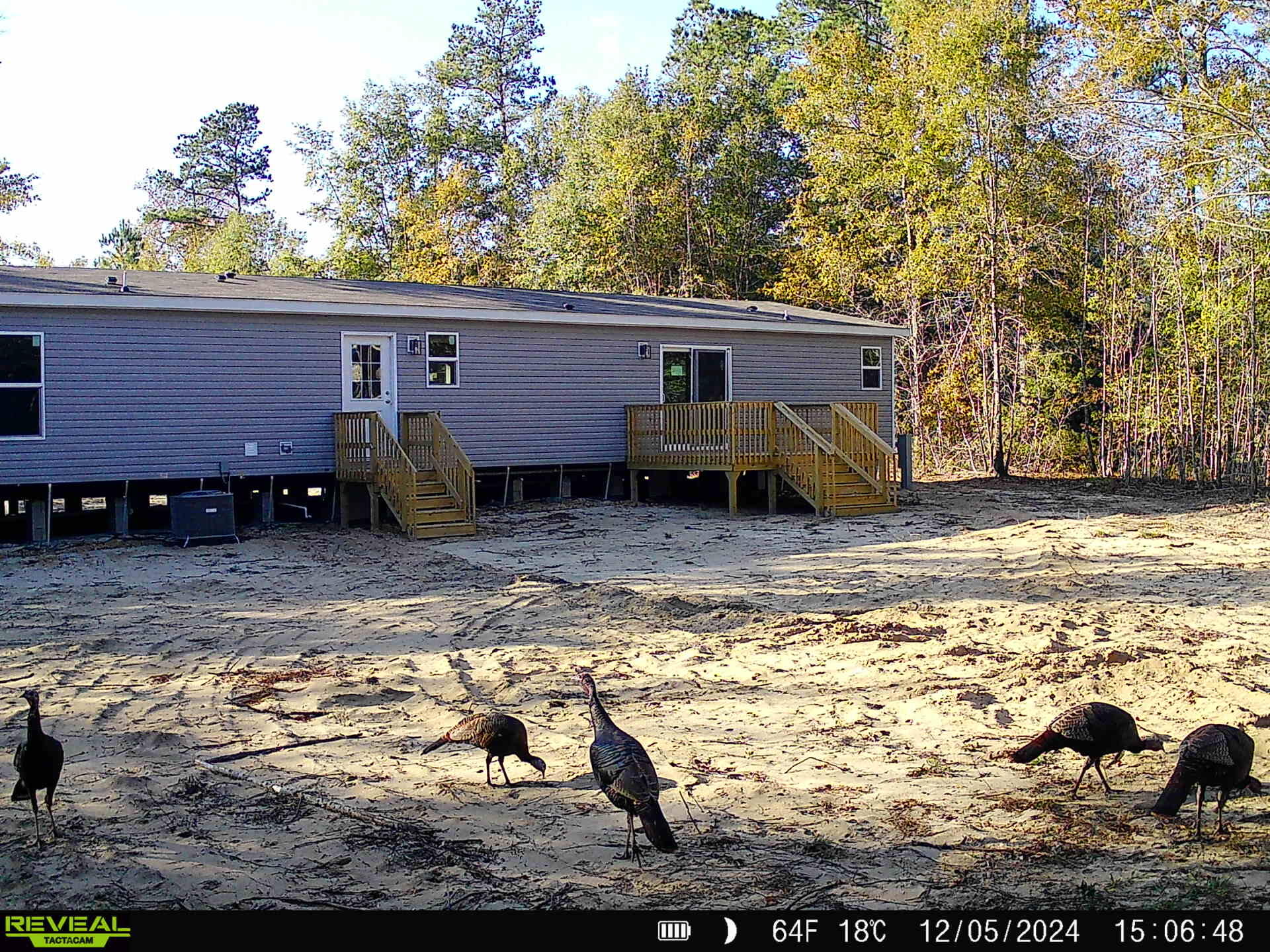 818 Pigeon Bay Road Cross, SC 29436 - Photo 40 of 42 IMG_2397
