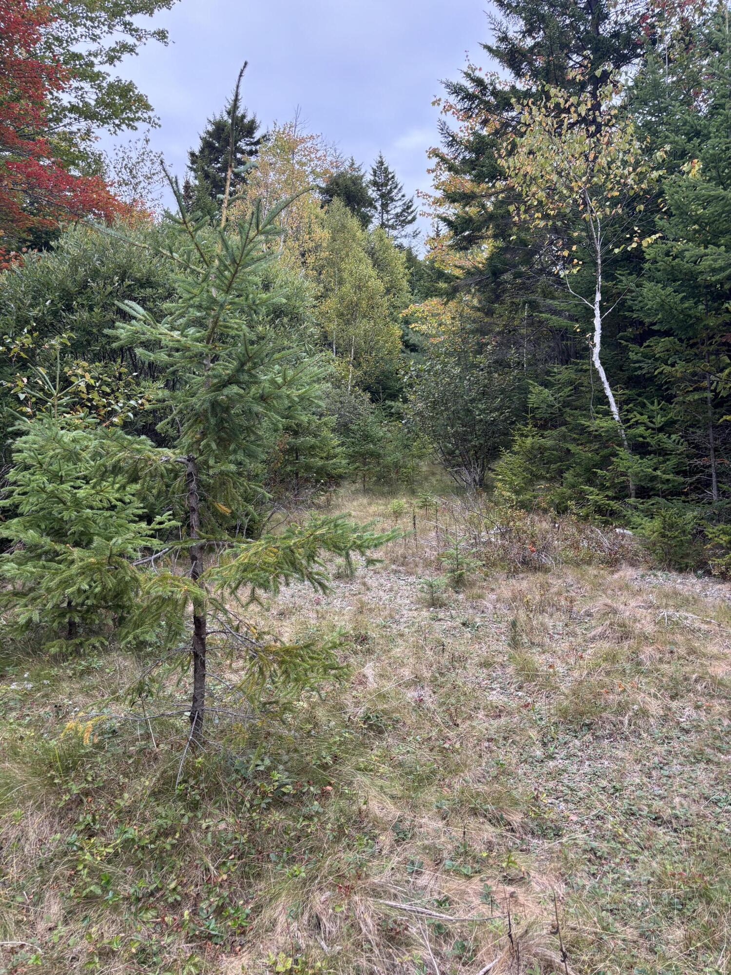M20-l2 East Side Road Addison, ME 04606 - Photo 11 of 15