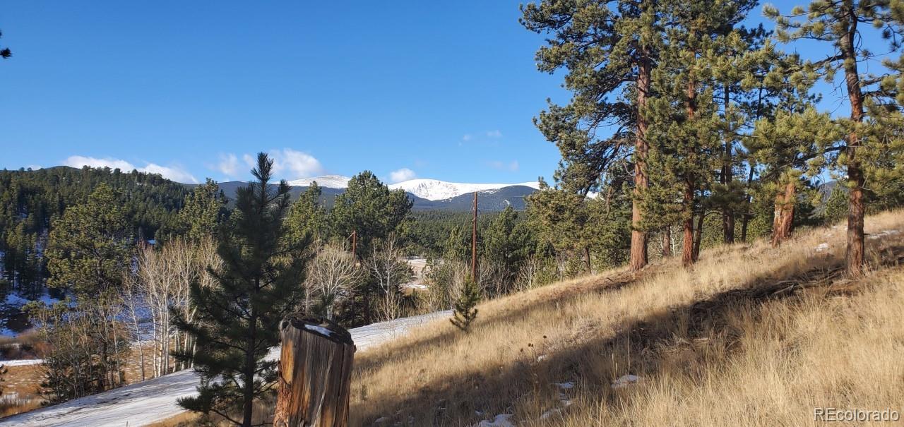 275 North Random Road Bailey, CO 80421 - Photo 14 of 14