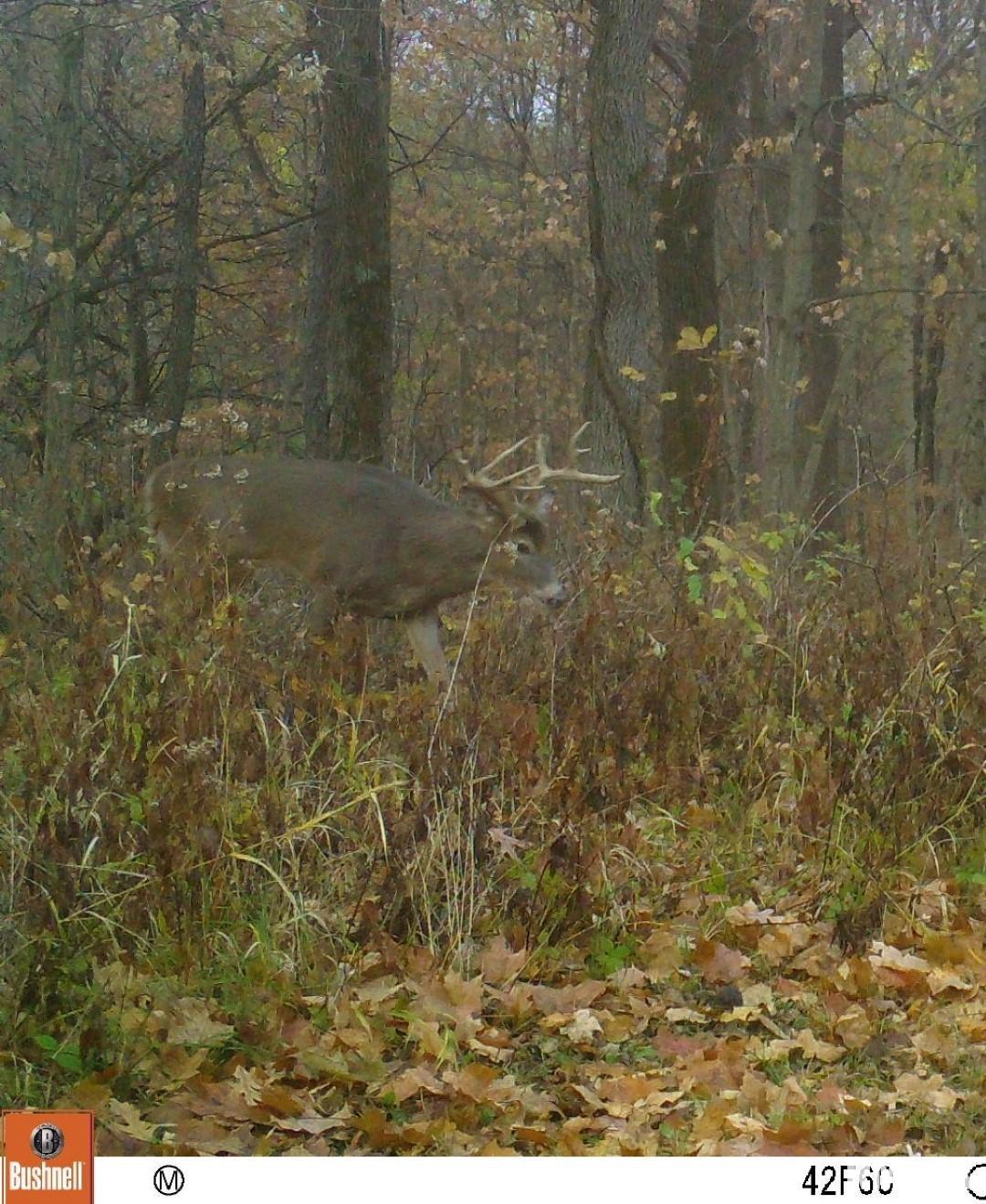 0 North Stone School Road Elmwood, IL 61529 - Photo 84 of 90