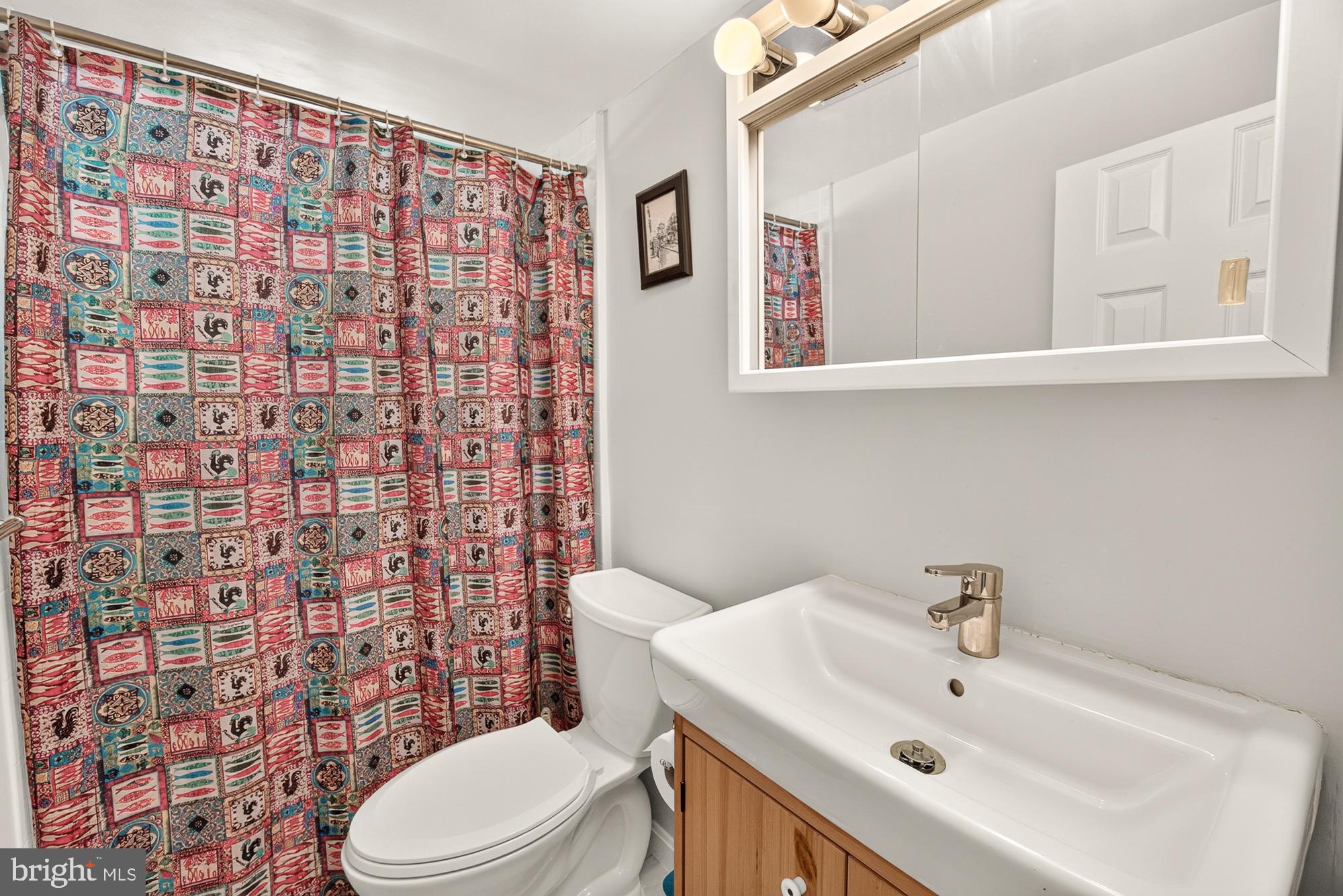 10202 Leslie Street Silver Spring, MD 20910 - Photo 31 of 44 Bathroom on bottom floor