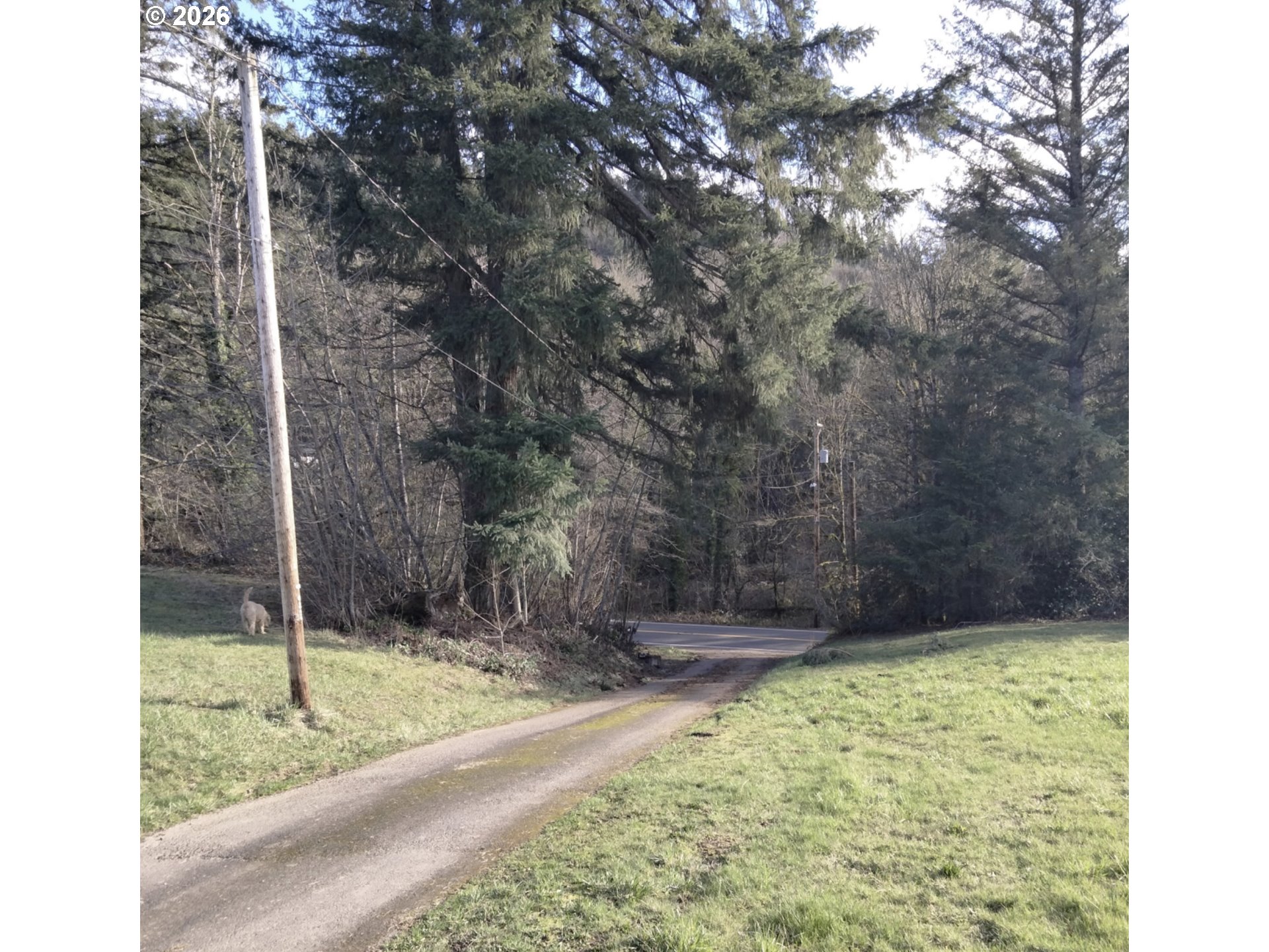 1721 Southwest Butler Road Gresham, OR 97080 - Photo 7 of 13