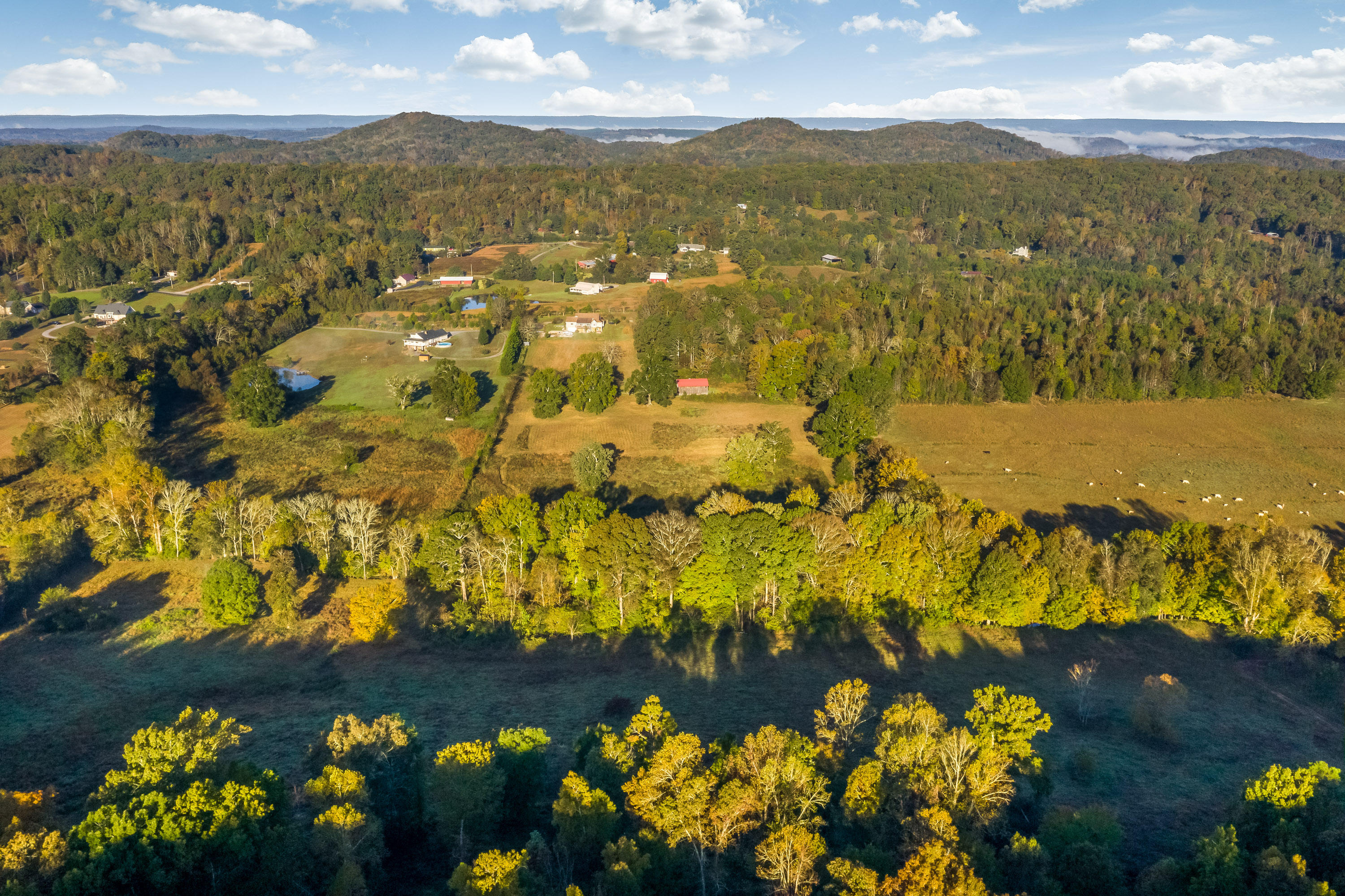 480 No Pone Valley Road Northwest Georgetown, TN 37336 - Photo 5 of 43 480_No_Pone_Valley_Rd_12