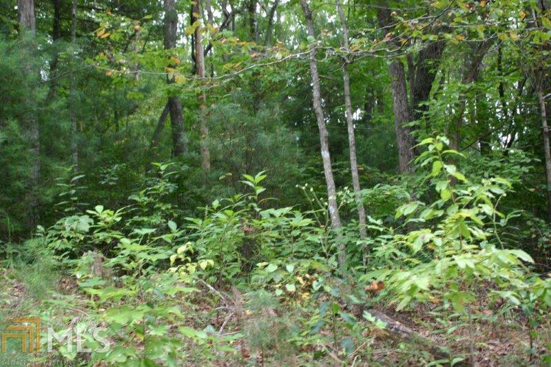 0 H K Wagon Road Cleveland, GA 30528 - Photo 1 of 1 a view of a forest with a tree
