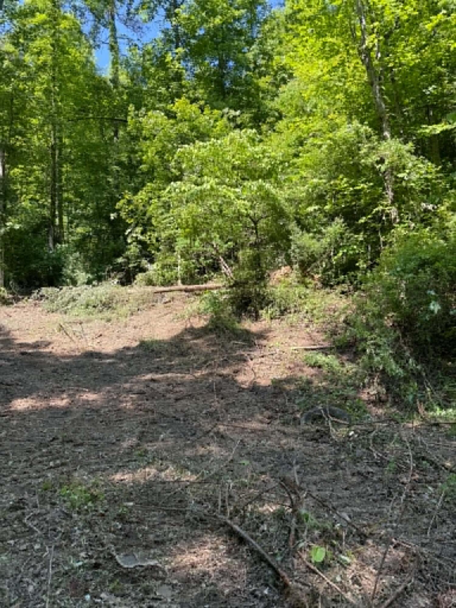 0 Ky-706 Road Isonville, KY 41149 - Photo 3 of 17 ccff030e-e912-4798-961d-3c1211b8dea1